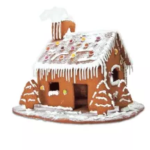 Gingerbread house cookie cutter set