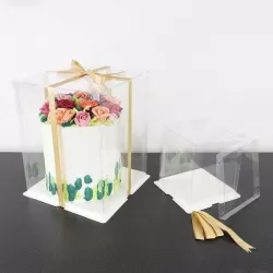 Set scatola per torte trasparente 18 x 18 x 20 cm