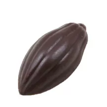 Cocoa fruit chocolate mold