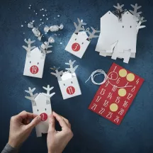 Rentier Adventskalender Boxen