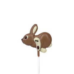 Lollipop chocolate mold bunny