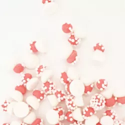 Funghi mini a decorazione dolce, 20 g