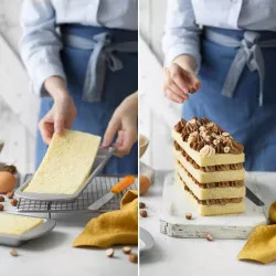 Backform Rechteck mehrschichtig, 4 Böden