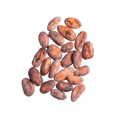 Fave di cacao di Bali