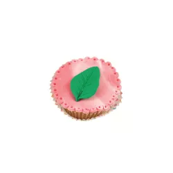 Leaf Kit silicone mould and cookie cutter