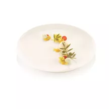 Silicone olive branch hip mold