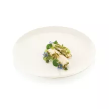 Silicone olive branch hip mold