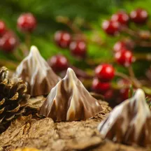 Stampo per praline Matterhorn, 20 praline