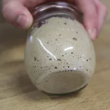 Sauerteigstarter Pulver 160 g
