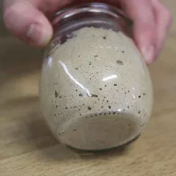 Sourdough starter powder 160 g