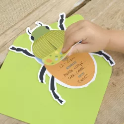 5 Cartes d'invitation insecte