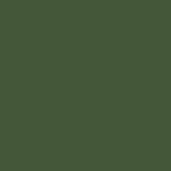 Colored cocoa butter Tropical green