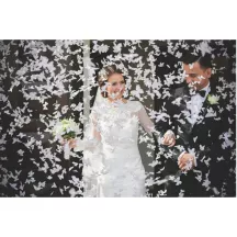 1 confetti cannon - white butterflies