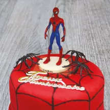 Cake Topper Set Spider Man