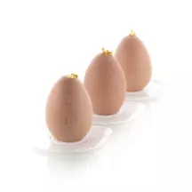 Silikonform Ei klein, 12 Stück