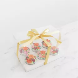 Scatola per cupcake trasparente per 6 muffin