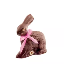 Stampo per cioccolato Coniglio Nostalgico