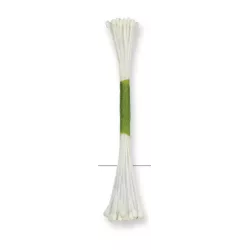 Pollen blanc pour fleurs en sucre, 50 pièces