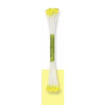 Pollen de fleurs jaunes petit, 50 pièces