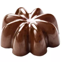 Moule à pralines à l'anis étoilé, 15 pralines