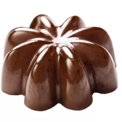 Praline mold star anise, 15 pralines