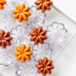 Moule à pralines à l'anis étoilé, 15 pralines