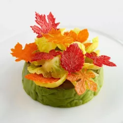 Silicone mould biscuit leaf mix - For Wafer 45 Piece