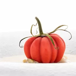 Stampo in silicone Pomodoro, 12 pezzi
