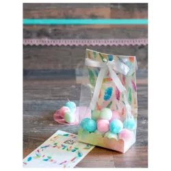 Geschenktüten-Set "Rainbow Feathers", 24-teilig