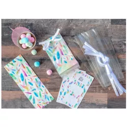 Geschenktüten-Set "Rainbow Feathers", 24-teilig