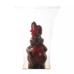 Sacchetto trasparente con fondo dorato, medio, 10 pezzi