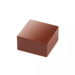 Square praline mold, 24 pralines