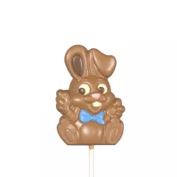 Chocolate mold for bunny lollies