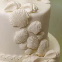 Silicone embosser sea shells