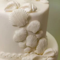 Silicone embosser sea shells