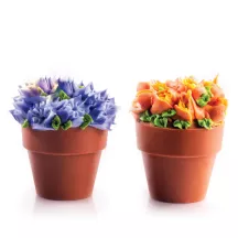 Vaso di fiori in cioccolato, 14 pezzi