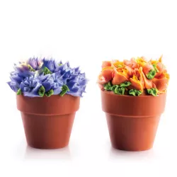 Blumentopf aus Schokolade, 14 Stück