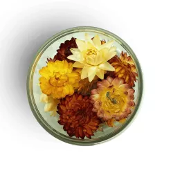 Fiori di prato commestibili, essiccati - Mix, 15 pezzi