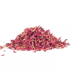 Organic cornflower blossoms pink