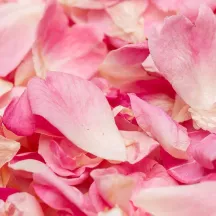 Edible petals - cornflower and marigold - Freeze Dried Rose