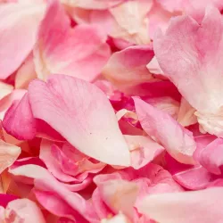 Pétales comestibles - bleuet et calendula - De Rose Lyophilises