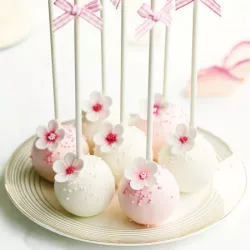 25 cake pop sticks 22 cm