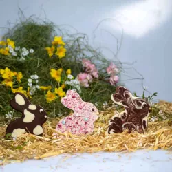 Chocolate bar shape bunny