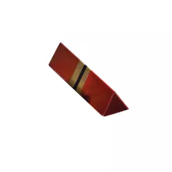Stampo per barrette di cioccolato triangolari, 10 pezzi