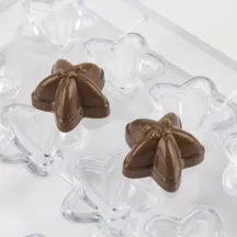 Praline chocolate mold starfish, 20 pieces