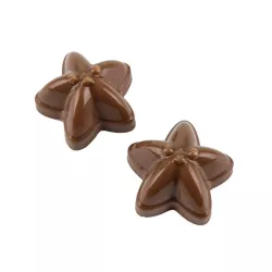 Praline chocolate mold starfish, 20 pieces