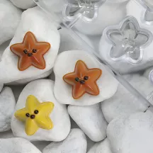 Praline Schokoladenform Seesterne, 20 Stück