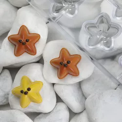 Praline chocolate mold starfish, 20 pieces