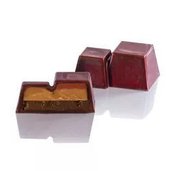 Pralinenform Doppeltes Trapez, 24 Pralinen