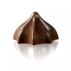 Chocolate mold, 24 chocolates